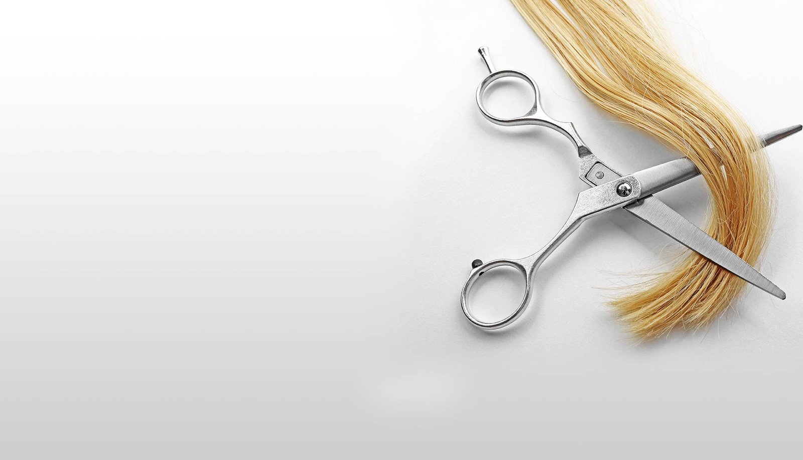 peluquer&iacute;a X&agrave;tiva