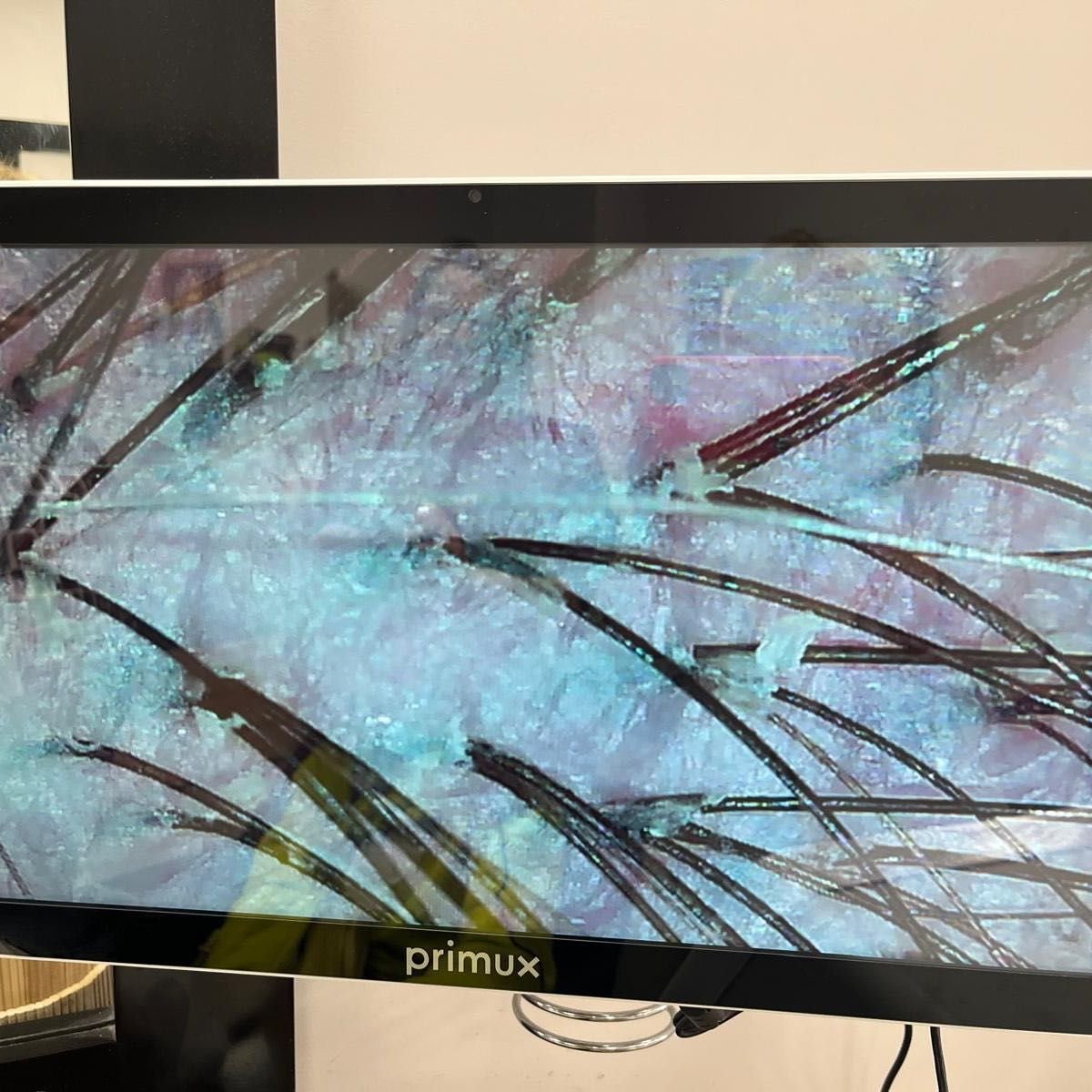 Galer&iacute;a, Galer&iacute;a, Ana Maria Ramos peluqueria Xativa