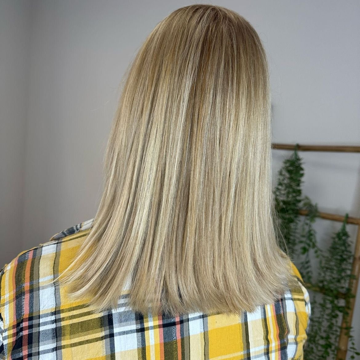 Galer&iacute;a, Galer&iacute;a, Ana Maria Ramos peluqueria Xativa